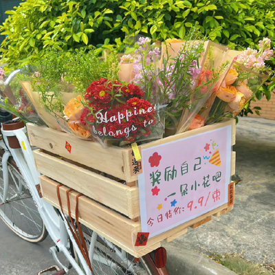 宠物电影冷知识