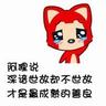 宠物知识分类